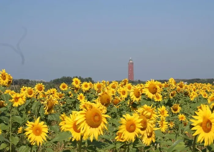 Huijsmans Verhuur Type B De Luxe Zuiderdiep 8 Tatil Evi Ouddorp