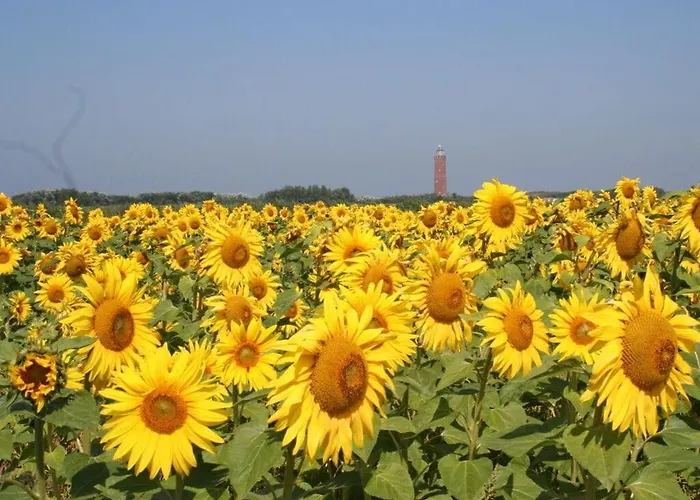 Tatil Evi Huijsmans Verhuur Type B De Luxe Zuiderdiep 8 *