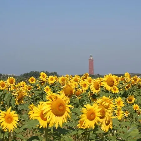 Huijsmans Verhuur Type B De Luxe Zuiderdiep 8 Hébergement de vacances Ouddorp