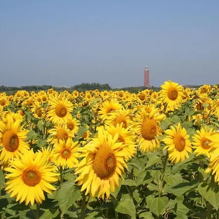 Hébergement de vacances Huijsmans Verhuur Type B De Luxe Zuiderdiep 8 *